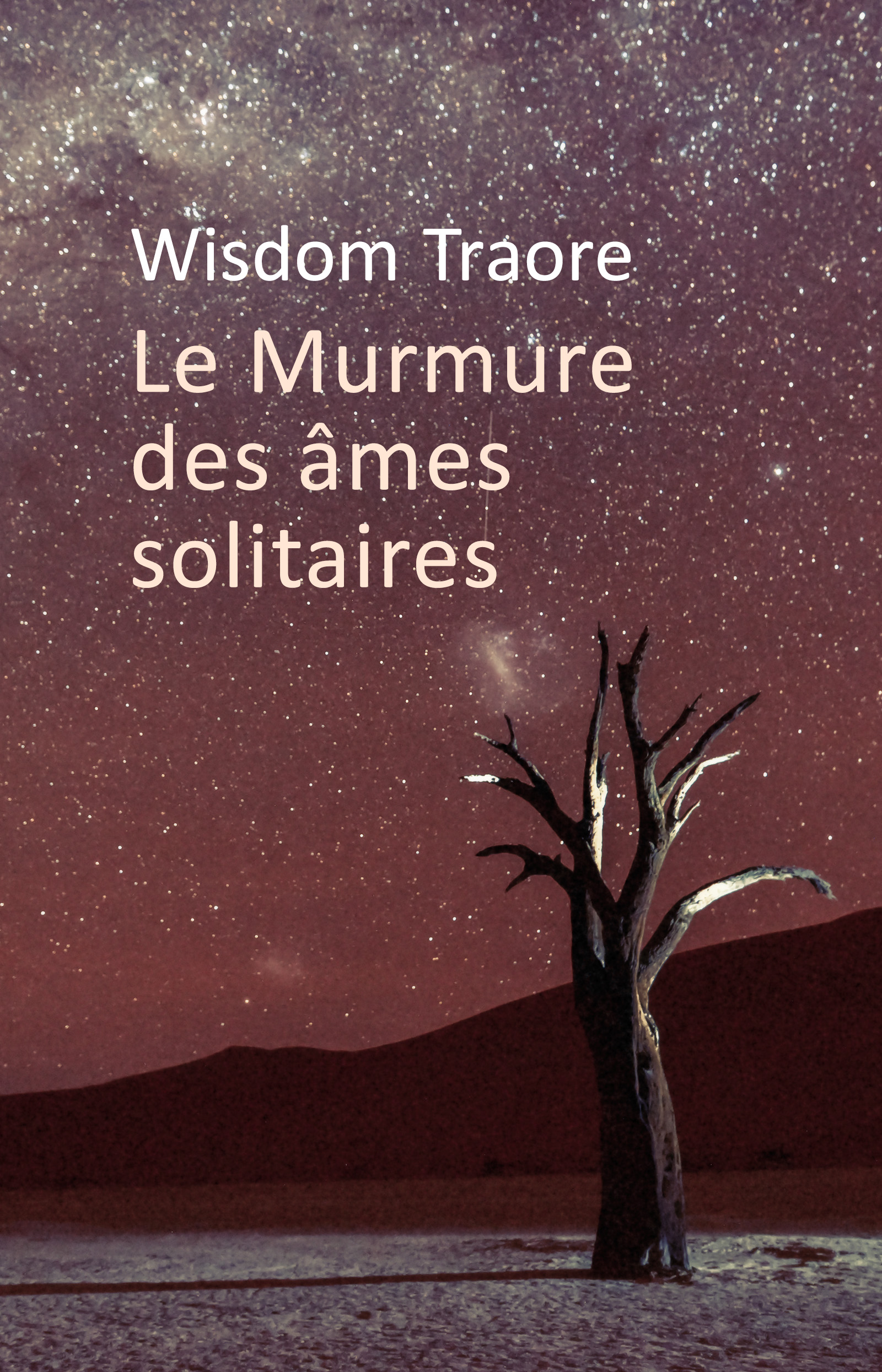 Le Murmure des âmes solitaires